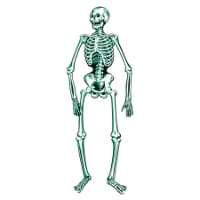 Jointed Skeleton Jointed Skeleton,Beistle Halloween decorations, vintage Halloween decor, life-sized skeleton, Halloween party supplies, movable skeleton, cardstock skeleton, spooky Halloween decorations, Halloween wall decor, nostalgic Halloween decor