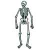 Jointed Skeletons